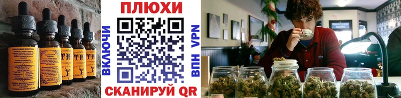 Cannafood конопля  Прохладный 