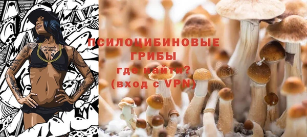 таблы Алексин