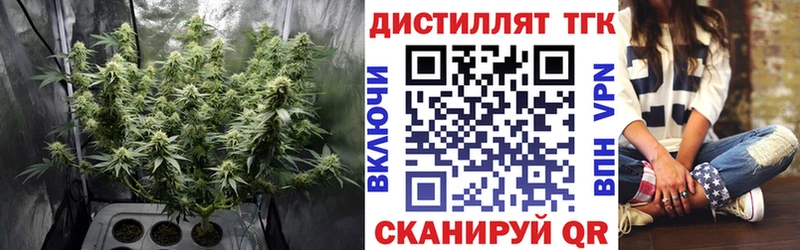 цена наркотик  Прохладный  Дистиллят ТГК THC oil 