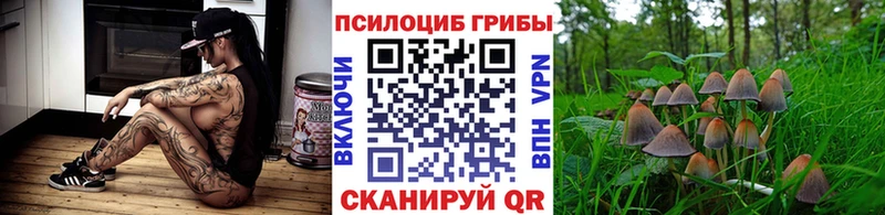 мега как зайти  Прохладный  Псилоцибиновые грибы мицелий 
