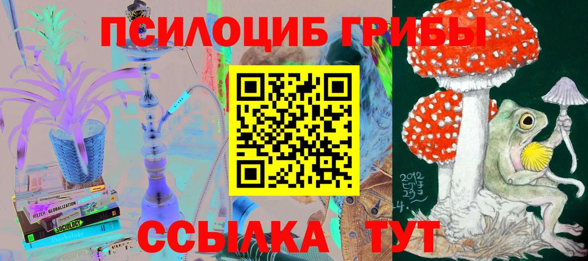 Псилоцибиновые грибы Magic Shrooms  Псилоцибиновые грибы мицелий  Прохладный  Вход с VPN 