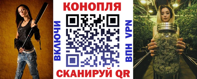 где найти наркотики  Прохладный  Канабис сатива 